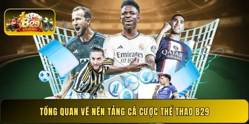 tong-quan-ve-nen-tang-ca-cuoc-the-thao-b29